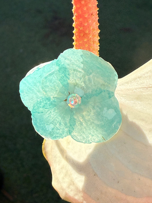 hydrangea flower