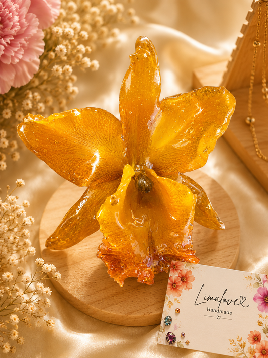 Yelow Cattleya