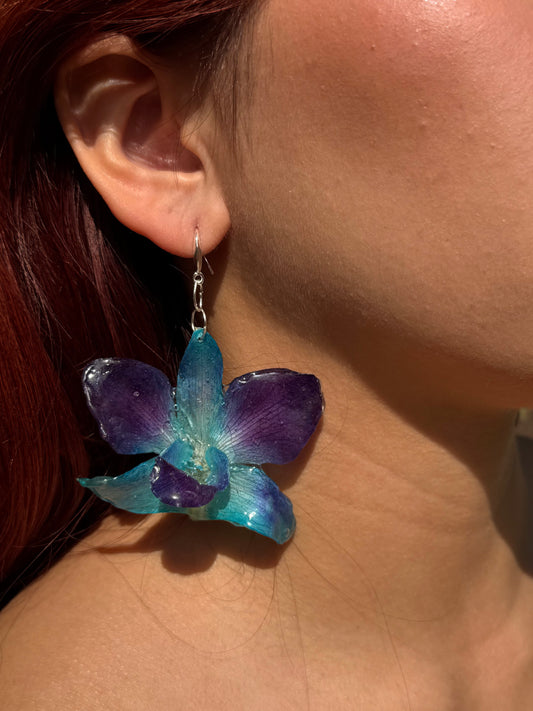 ORQUIDEA DEL PACIFICO